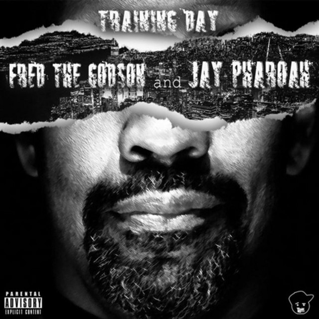 Training Day album cover