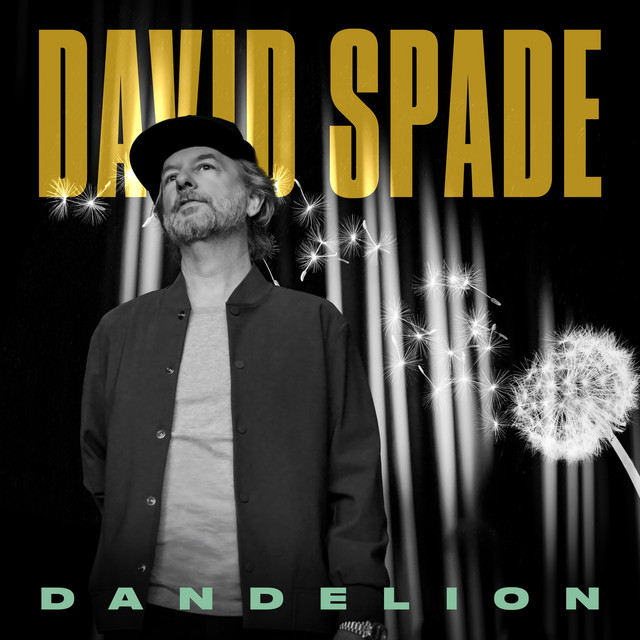 Dandelion album cover