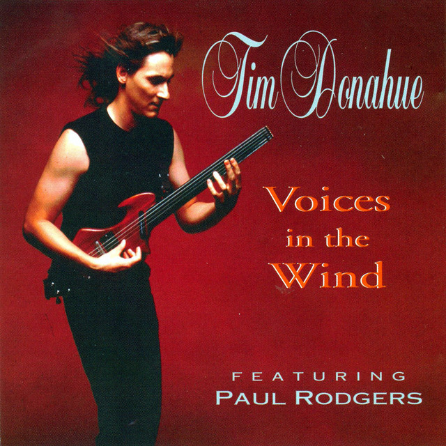 Voices In The Wind album cover