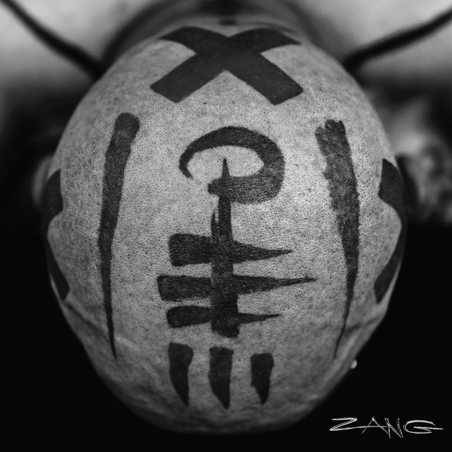 Zang album cover