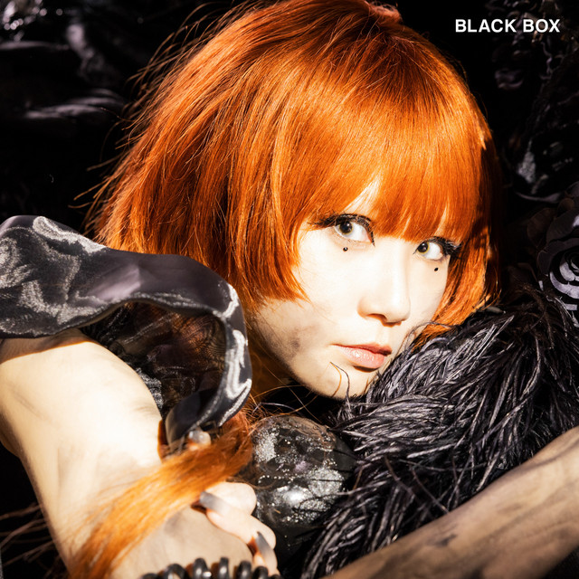 BLACK BOX album cover