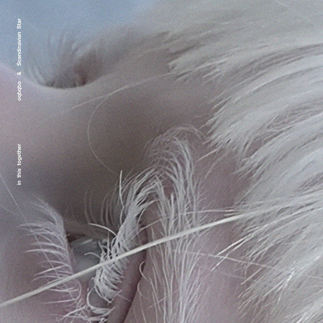 In This Together album cover