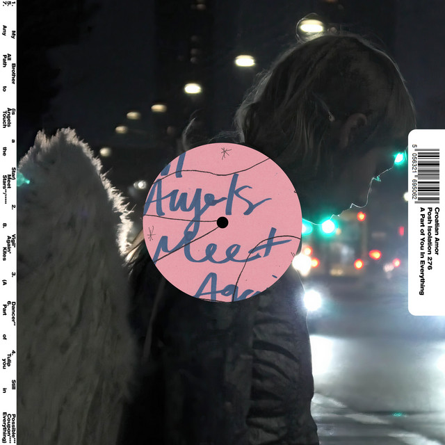 A Part of You in Everything album cover