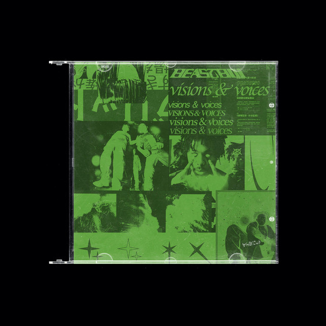 VISIONS & VOICES album cover