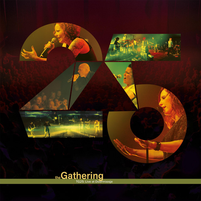 TG25: Live at Doornroosje album cover