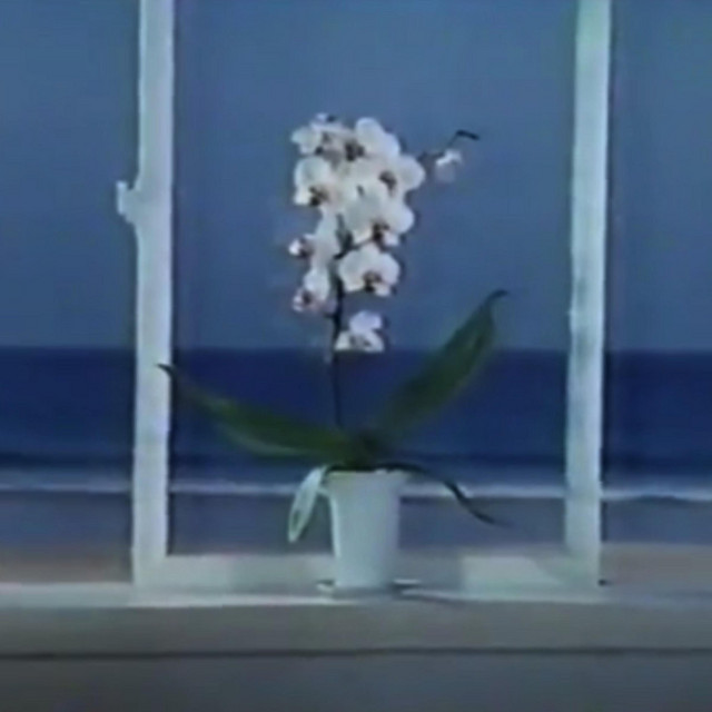 水​に​流​す album cover
