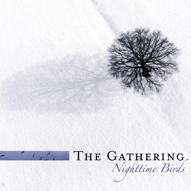 Nighttime Birds (Re-issue 2007 incl. Bonus tracks) album cover