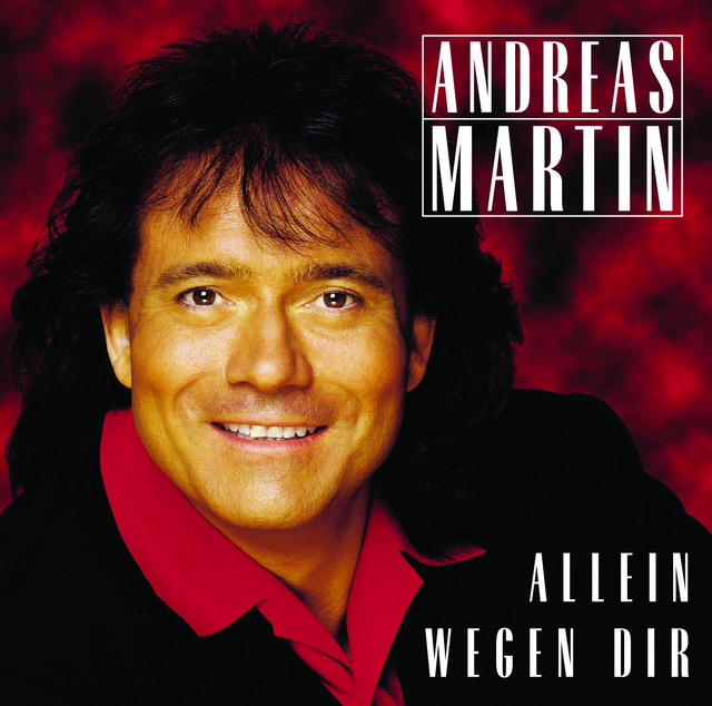 Allein wegen Dir album cover