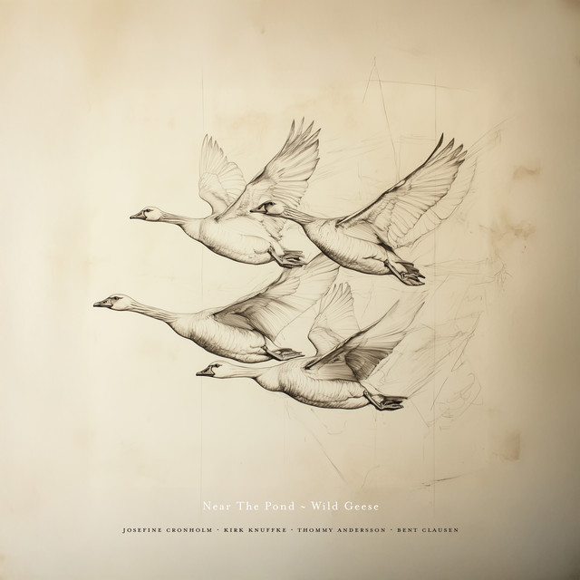 Near The Pond - Wild Geese album cover