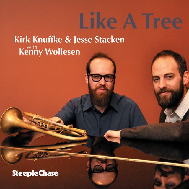 Like A Tree album cover