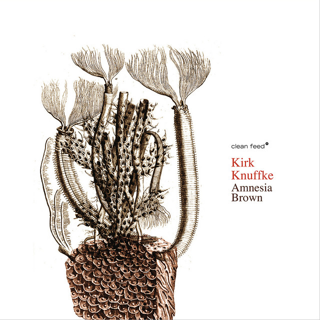 Amnesia Brown album cover