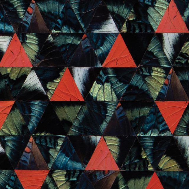 Diatom Ribbons (Live At The Village Vanguard)