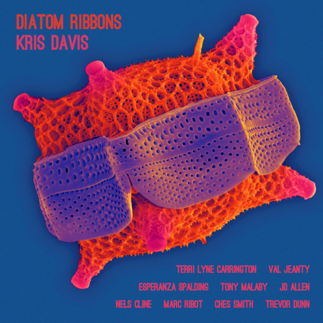 Diatom Ribbons album cover