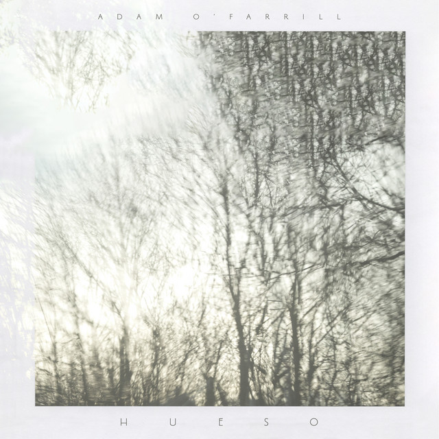 HUESO album cover