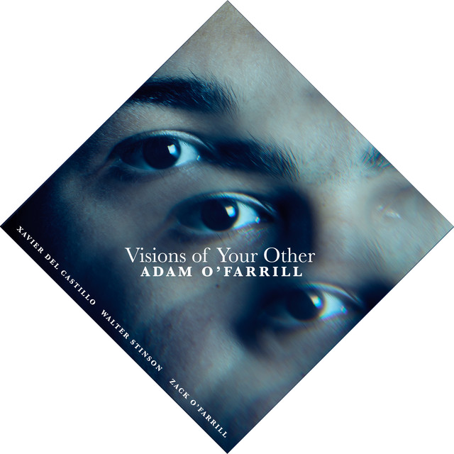 Visions of Your Other album cover