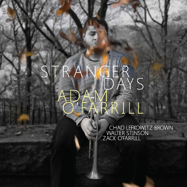 Stranger Days album cover