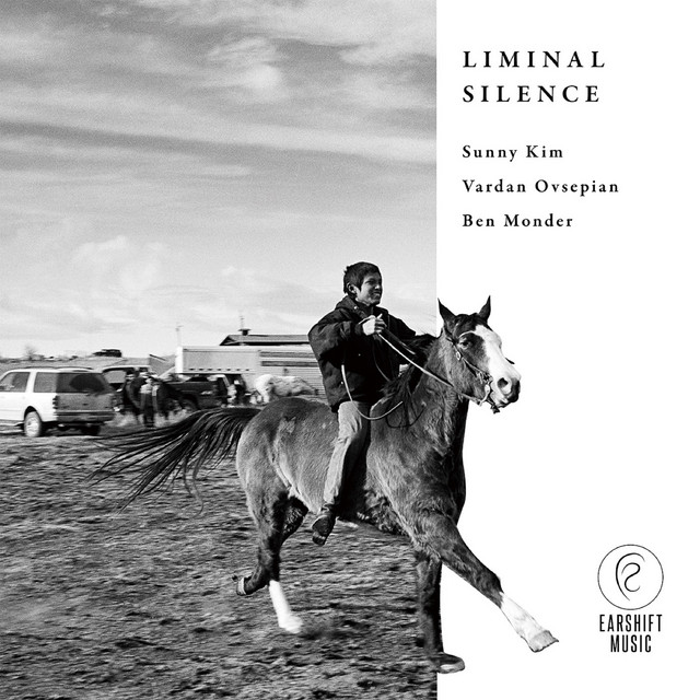 Liminal Silence album cover