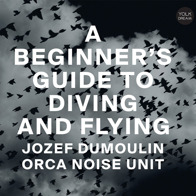 A Beginner's Guide to Diving and Flying album cover