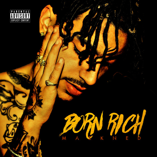 Born Rich album cover