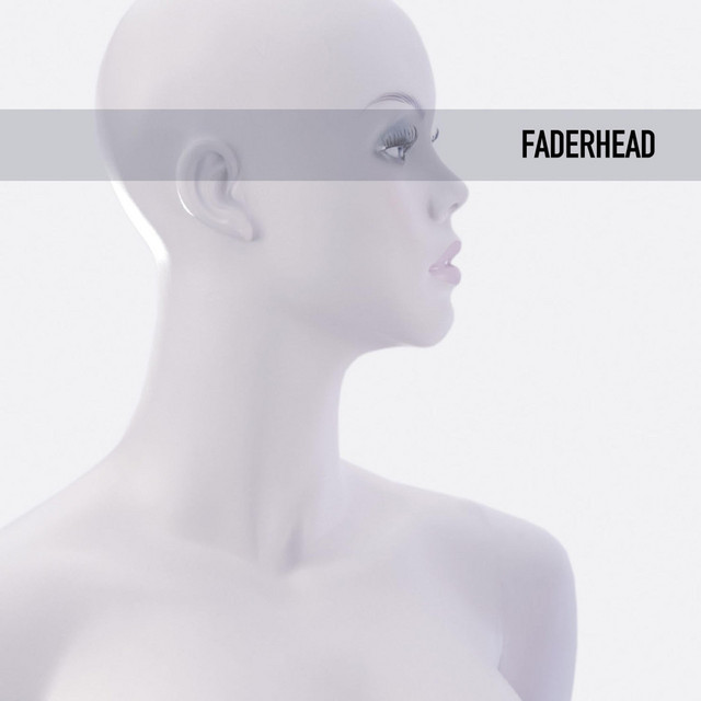 FH2 album cover