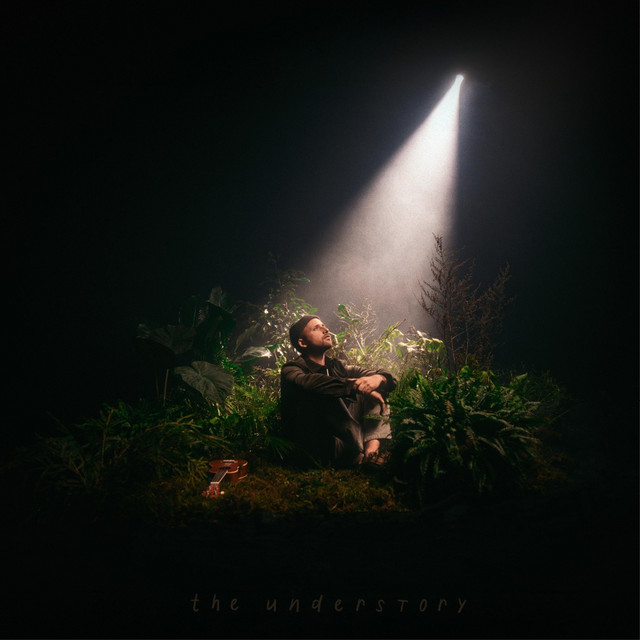 the understory album cover
