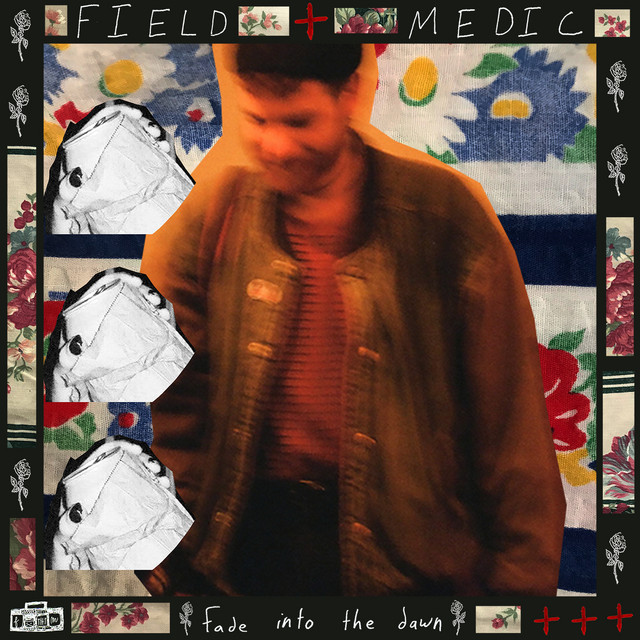 fade into the dawn album cover