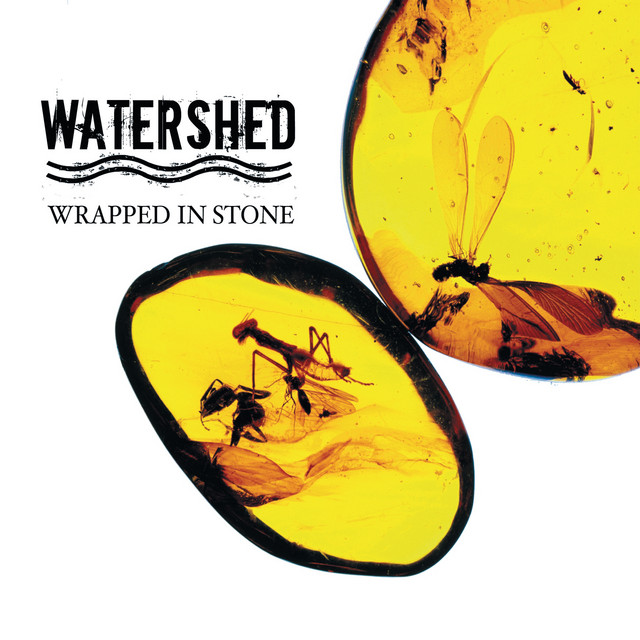 Wrapped In Stone album cover