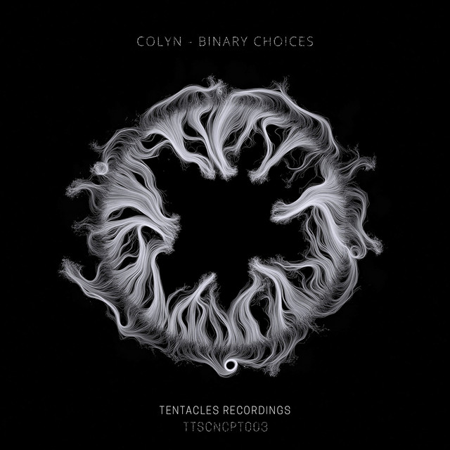 Binary Choices album cover