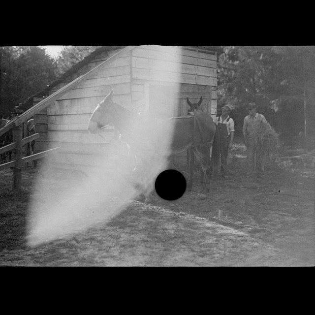 Teaches Dust to Reason album cover