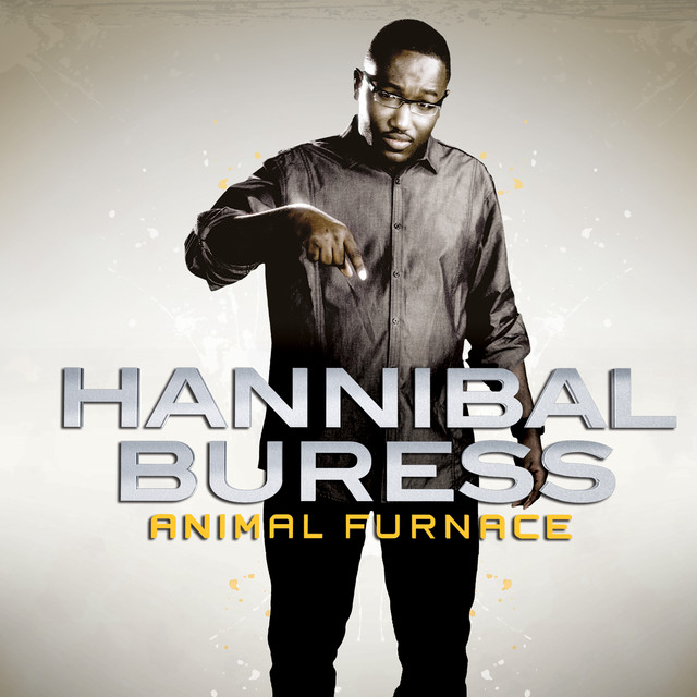 Animal Furnace album cover
