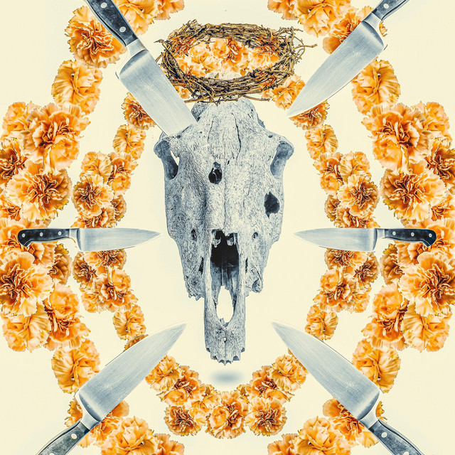 Careful Who You Co-Sign album cover