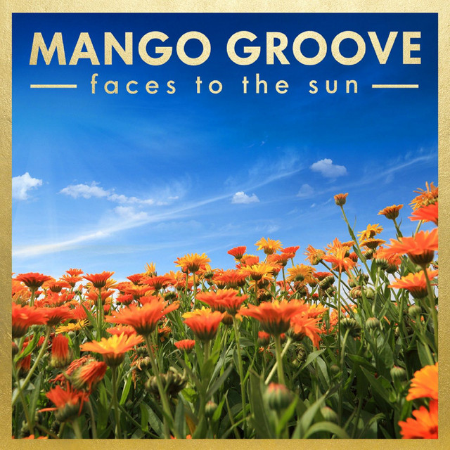Faces To The Sun album cover
