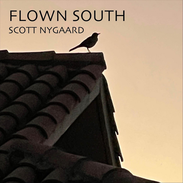 Flown South album cover
