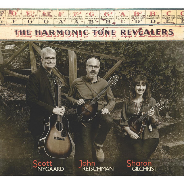 The Harmonic Tone Revealers album cover