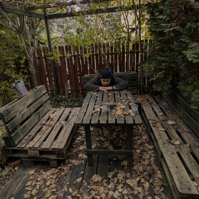 bezsenność i bezsens album cover