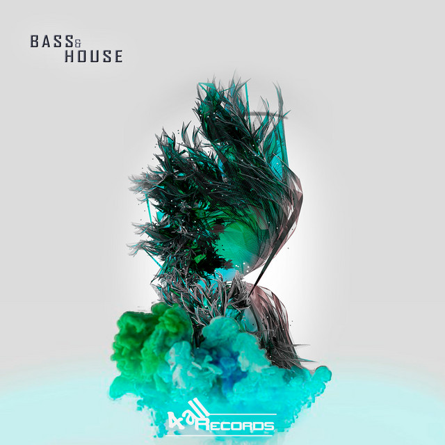 Bass & House album cover