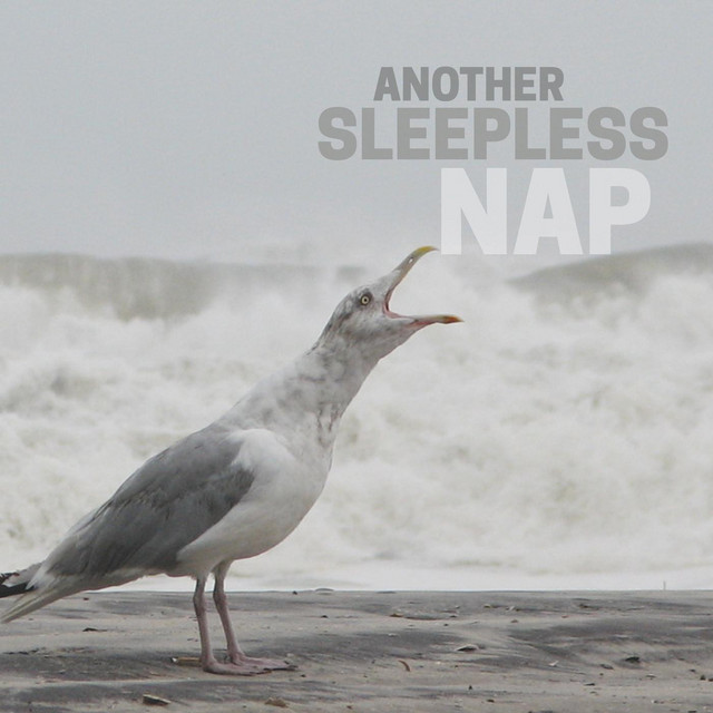 Another Sleepless Nap album cover
