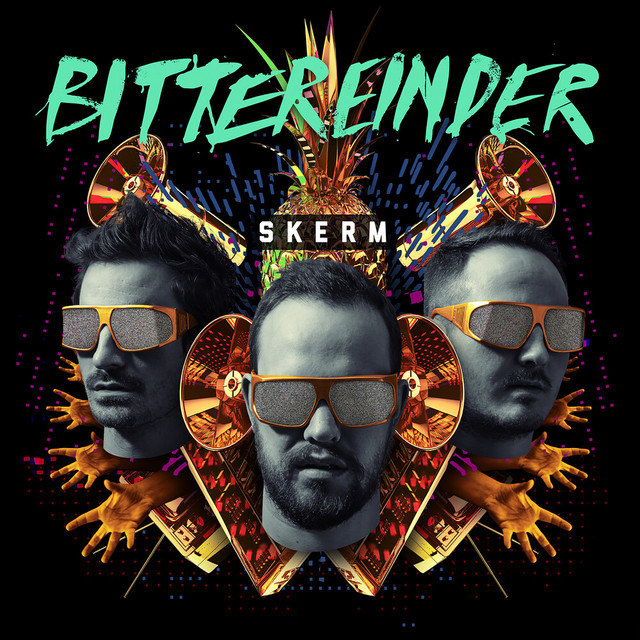Skerm album cover