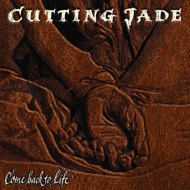 Come Back to Life album cover