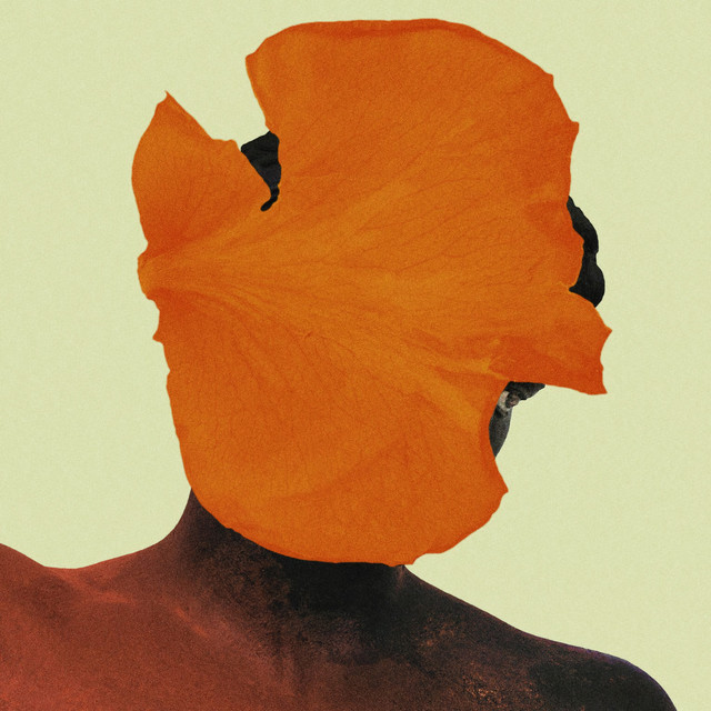 Realms and Forms album cover
