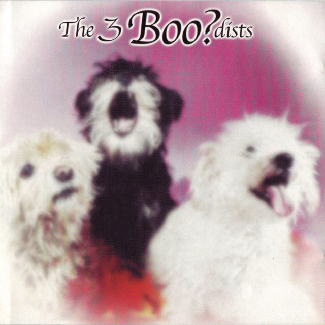 The 3boo?Dists album cover