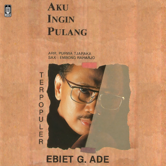 Aku Ingin Pulang album cover