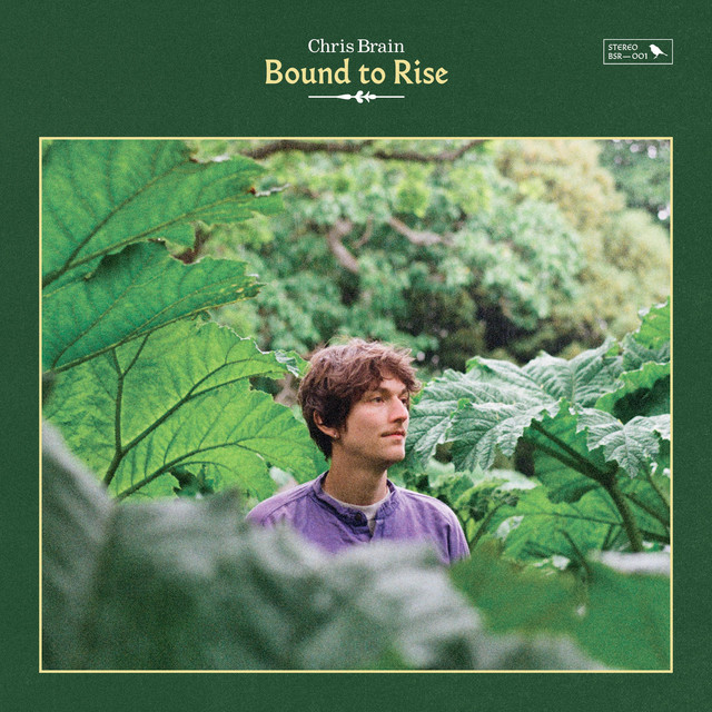 Beyerdynamic M160 as heard on Bound to Rise by Chris Brain (2022)