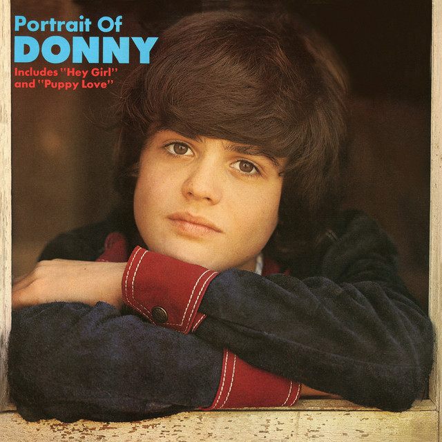 Portrait Of Donny album cover