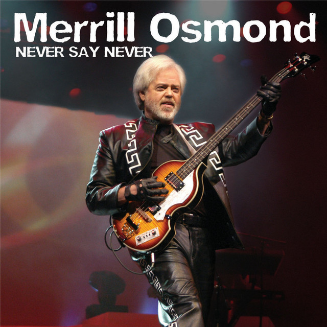 Never Say Never album cover