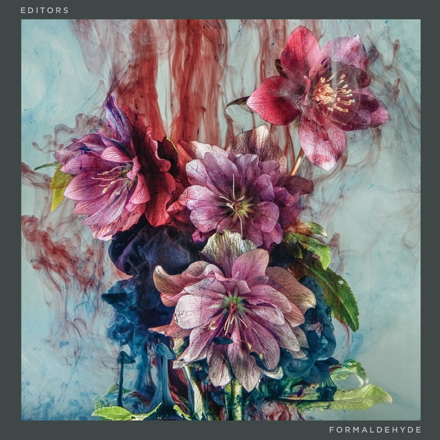 Editors – Formaldehyde album cover