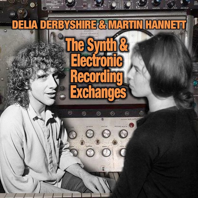 The Synth And Electronic Recording Exchanges album cover