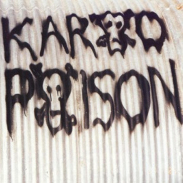 Karoo Poison album cover