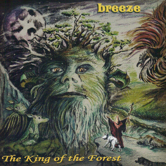 The King of the Forest album cover