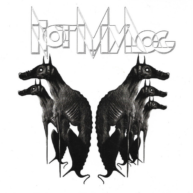 Not My Dog album cover